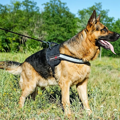 2Pcs Service Dog Patches for Harness, Removable Emotional Support Dog Vest Patches, Black in Training Dog Patch, Working Dog Applique Tactical Dog Equipment for Collar Leash (4_2'')