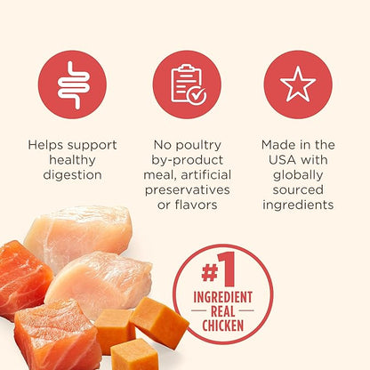 Nutrish Gentle Digestion Premium Paté Wet Dog Food, Real Chicken, Pumpkin & Salmon Recipe, 13 oz. Can, 12 Count (Rachael Ray)