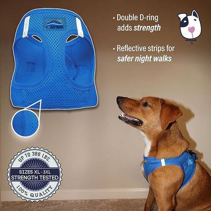 Doggie Design Dog Harness - No Choke Dog Harness, Dog Vest, Mesh Polyester, Pet Harness, Simple Step in and Go Design, Harness for Dog - Cobalt Blue, 2XL