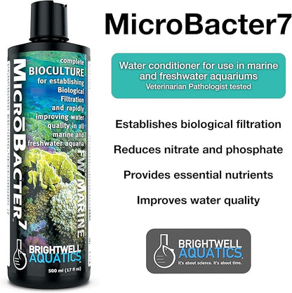 Brightwell Aquatics MicroBacter7 & MicroBacter Clean - Bacteria & Water Conditioners for Fish Tanks and Aquariums