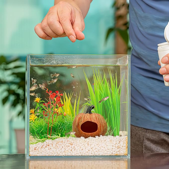 POPETPOP Fish Tank Resin Habitat Pumpkin Cave Hide-Out Small Aquarium Décor Ornaments - Fat Pumpkin