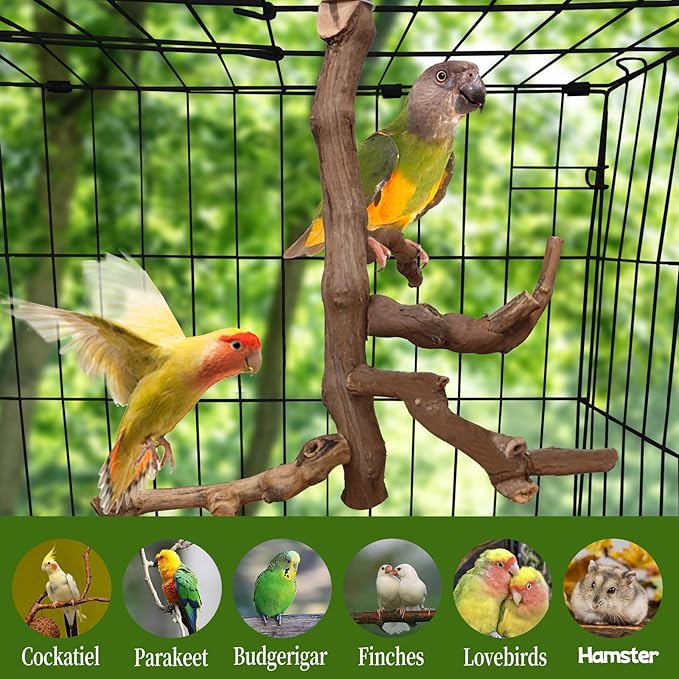 Bird Perch Stand Natural Parrot Perch for Cage Parakeet Climbing Platform Branches Swing Toy Cage Accessories for Cockatiels Lovebird Finches Canaries Budgie