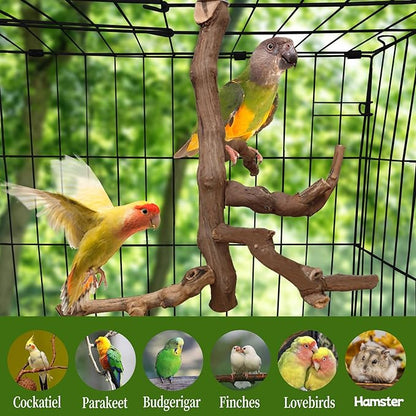 Bird Perch Stand Natural Parrot Perch for Cage Parakeet Climbing Platform Branches Swing Toy Cage Accessories for Cockatiels Lovebird Finches Canaries Budgie