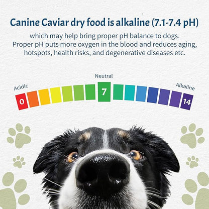 Canine Caviar - Small Breed: Chicken & Whole Ground Oats, Alkaline Dry Dog Food, Limited Ingredients, Gluten-Free, Based on Science & Research, Veterinary Alternative Diet (22 Pound Bag)