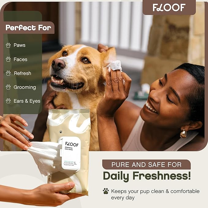 Floof Hypoallergenic Dog Wipes  Natural Aloe Grooming Wipes for Paws Face Ears Eyes & Bum  Vet-Formulated Extra Thick Safe for Puppies & Adult Dogs 864 Count