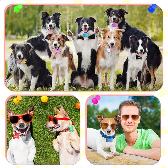 150 Pcs Blank Dog Pet Tags for Engraving 38MM Aluminum Bone Shape Name Tag Colorful Double Sided Dog Cat Phone Number Tag Pendantsnts