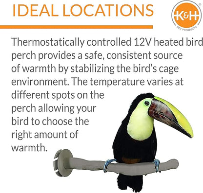 K&H Pet Products Thermo-Perch Heated Bird Perch for Cage, Bird Cage Accessory, Exotic Avian Warming Post for Small/Medium Feathered Friends Like Parakeet, Cockatiel, Canary - Small 1 X 10.5in 12V