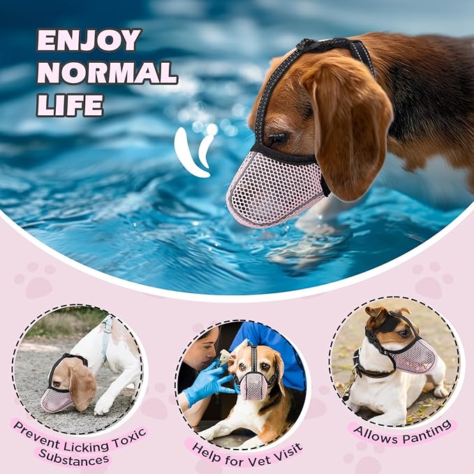 Dog Muzzle,Mesh Soft Muzzle for Small Medium Large Sized Dogs, Breathable Reflective Adjustable Puppy Muzzles with Collar for Scavenging Grooming Biting Chewing,Allows Panting and Drinking(Pink M)