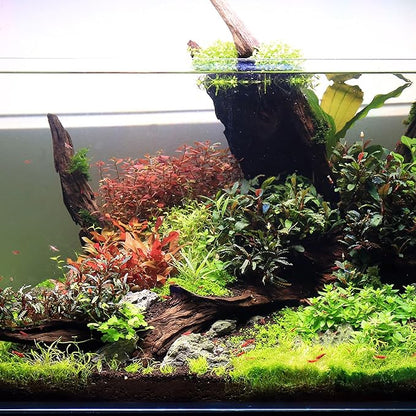 Ultum Nature Systems Driftwood - Malaysian Drift Wood for Fish Tank, Planted Tank, Terriarium, Paludarium - Versatile Natural Driftwood Decor, Events Wood Centerpiece - Malaysian, M 12-16", 3 Pack