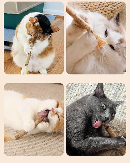 Tocirelo Silvervine Sticks Cat Toys - 6Pack Natural Cat Chew Toy Teeth Cleaning, Matatabi Dental Care Kitten Treat, Catnip Cat Teething Toys, Catmint Silver Vine Sticks for Bored Indoor Kitty