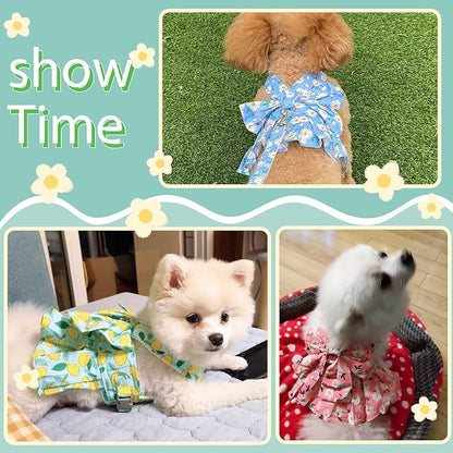 Dora Bridal 2 Pack Dog Dress Harness Vest with Leash, No Pull Cat Small Medium Girl Pet Floral Harness Leash Set, Cute Puppy Fruit Outfit Clothes with Bow, Mesh Princess Costume for Outdoor Walking