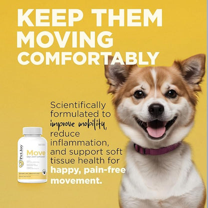 PetJoy Mobility Chews for Dog Arthritis Pain Relief - Hip and Joint Supplement for Dogs Senior and Large Breeds Glucosamine Chondroitin Joint Health Support (60 Chewable Bacon Treats)