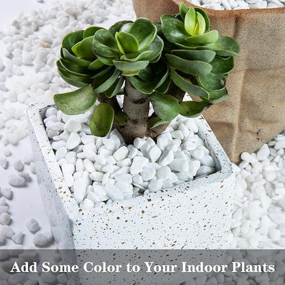 5lb Rocks Polished Silica Gravel for Plants Garden, Decorative Pebbles Ideal for Fish Tank, Vases, Succulents, Crafting, Home Decor and Garden Landscaping, Snow White(0.16-0.24”)