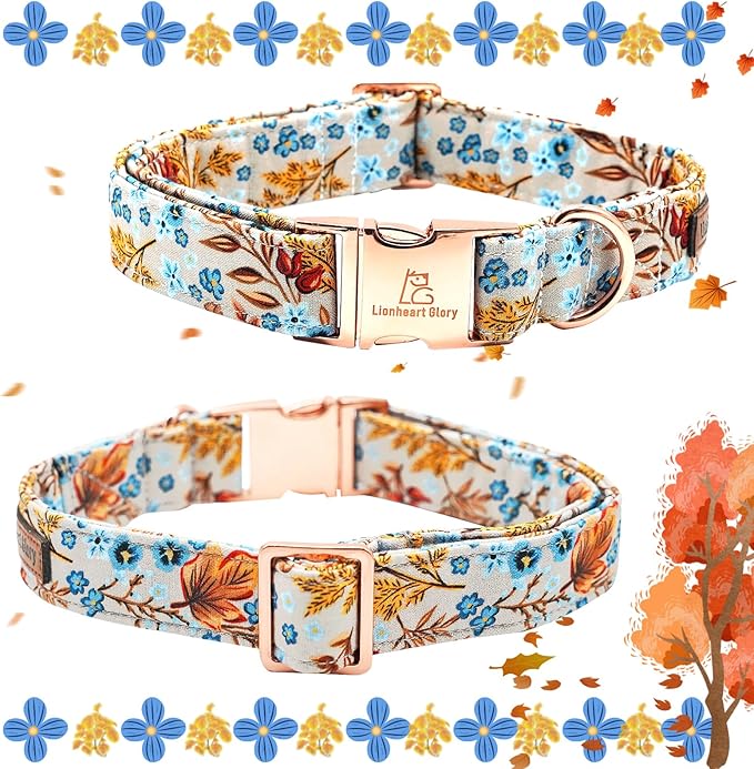 Lionheart glory Premium Dog Collars Fall Dog Collar, Heavy Duty Adjustable Dog Collar for Small Dogs Maple Leaf Dog Collar