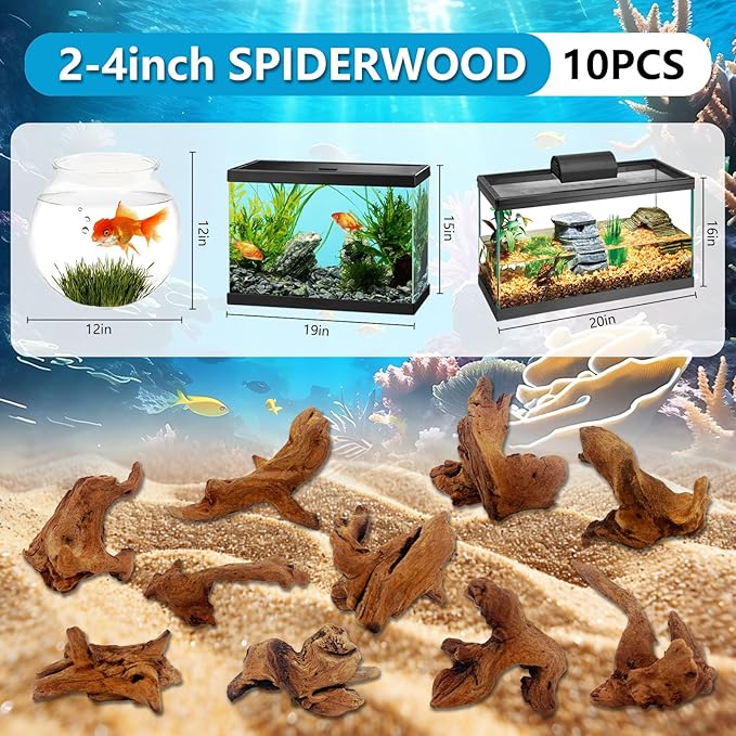 10 Pcs Natural Small Driftwood for Aquarium, Aquarium Driftwood Freshwater 2-4 Inch, Assorted Size Mopani Wood, Twisted Branches for Fishtank Accessories, Reptile Terrariums Decorations