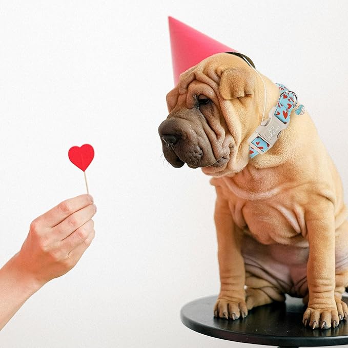 Valentine's Day Dog Collar - Cute Blue Valentines Dog Collar Girl Boy Durable Adjustable Red Heart Pattern Charm Dog Collars for Small Medium Large Dogs XL