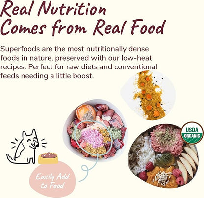 kin+kind Hip+Joint Supplement Dogs & Cats - Vet Formulated Natural Formula with Organic Turmeric, Black Pepper and Coconut- Made in USA - 4 oz (Medium)