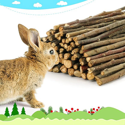 600g/1.3lb Apple Sticks Chew Toys for Guinea Pigs Rabbit Teeth Grinding Treats Toys for Bunny Chinchillas Hamster Gerbil Parrot Small Animal Pet Supplies