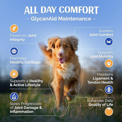 TopDog Health GlycanAid Maintenance Joint Nutrition for Dogs (150 Chewable Tablets), Made in USA-USA Ingredients: Glucosamine HCL, Chondroitin Sulfate, MSM & Vitamin C