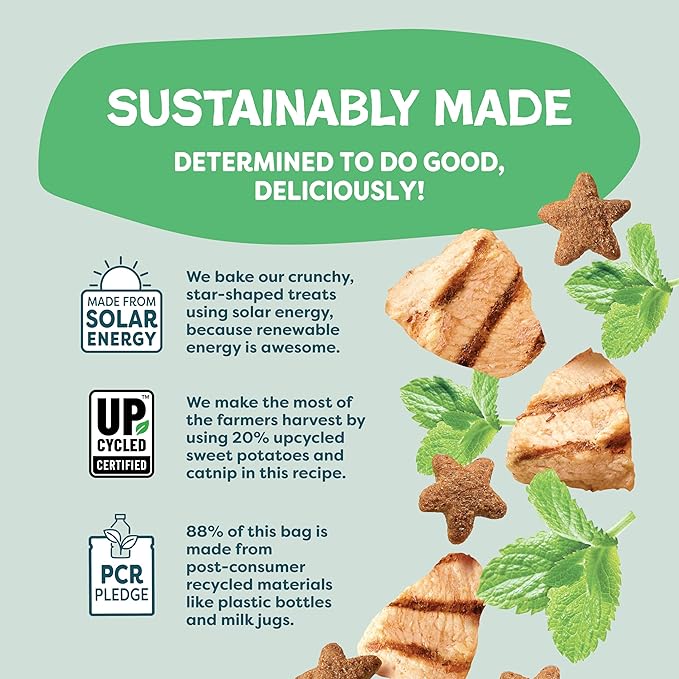 Shameless Pets Crunchy Cat Treats - Catnip Treats for Cats with Digestive Support, Natural Ingredients Kitten Treats with Real Chicken, Healthy Flavored Feline Snacks - Catnip N Chill, 3-Pk