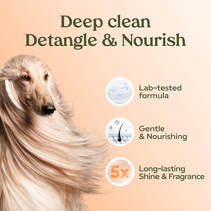 PAWFUME Deshedding Dog Shampoo and Conditioner, Show Dog, 1-Pack  Nourish & Detangle for Silky Soft Coat  Probiotic, Deep-Cleaning, pH-Balanced Formula  Salon-Quality Shampoo for Dogs