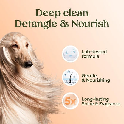 PAWFUME Deshedding Dog Shampoo and Conditioner, Show Dog, 1-Pack  Nourish & Detangle for Silky Soft Coat  Probiotic, Deep-Cleaning, pH-Balanced Formula  Salon-Quality Shampoo for Dogs