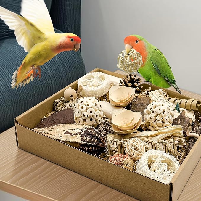 Natural Bird Toy Foraging Parrot Shredding Toys Box Conure Chewing Toys for Cockatiel Lovebird Parakeet Budgie Small-Medium Birds (Nature Color)