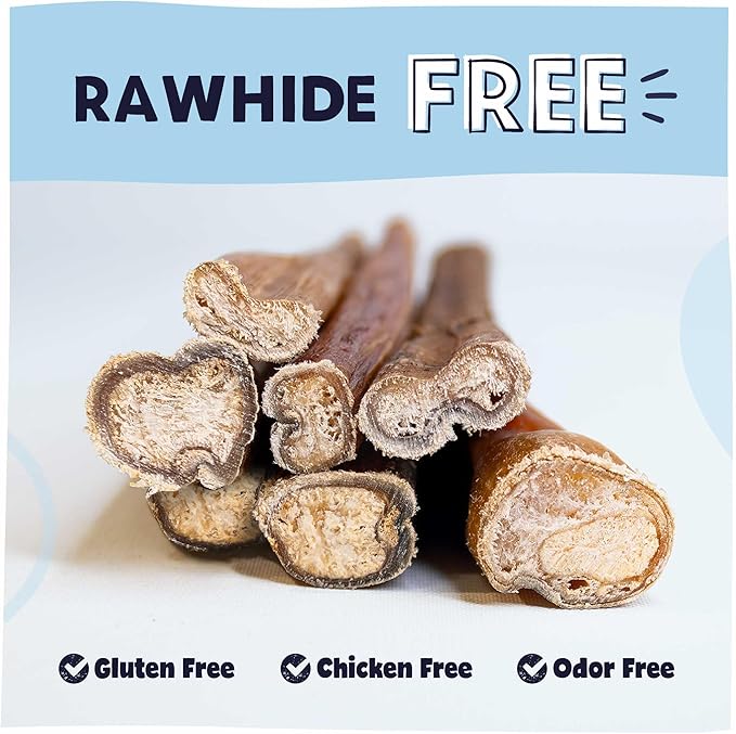 Pawstruck All-Natural 12" Bully Sticks for Dogs - Best Long Lasting, Rawhide Free, Low Odor & Grain Free Dental Chew Treat - Healthy Single Ingredient 100% Real Beef - 1 lb. Bag