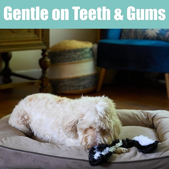 SPOT Skinneeez Skunk 23-Inch Stuffing-Free Plush Dog Toy – Realistic Design with 2 Squeakers – Durable, Soft Polyester for Medium & Large Dogs – Tug, Fetch & Shake Play – for Moderate Chewers