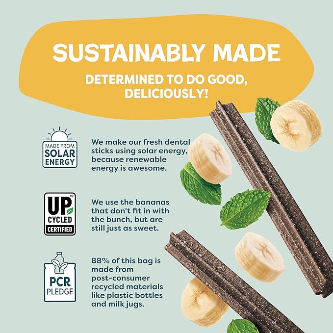 Shameless Pets Banana Bone-Anza Dental Treats for Dogs - Dental Sticks with Hip & Joint Support for Teeth Cleaning & Fresh Breath - Grain, Corn & Soy Free (32 Sticks)