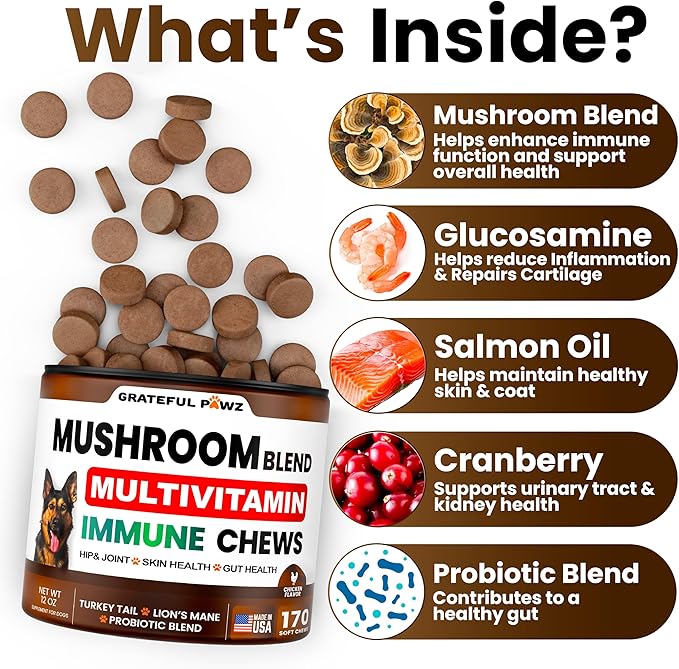 Mushroom Supplement for Dogs - 170 Chews - Mushrooms for Dogs - Turkey Tail, Reishi, Lion’s Mane, Glucosamine Multivitamin - Immune Booster, Gut, Hip & Joint Health Support Vitamins, Energy & Skin