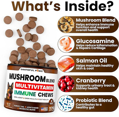 Mushroom Supplement for Dogs - 170 Chews - Mushrooms for Dogs - Turkey Tail, Reishi, Lion’s Mane, Glucosamine Multivitamin - Immune Booster, Gut, Hip & Joint Health Support Vitamins, Energy & Skin