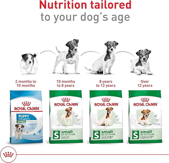 Royal Canin Size Health Nutrition Small 8+ Senior Dry Dog Food, 2.5 lb Bag