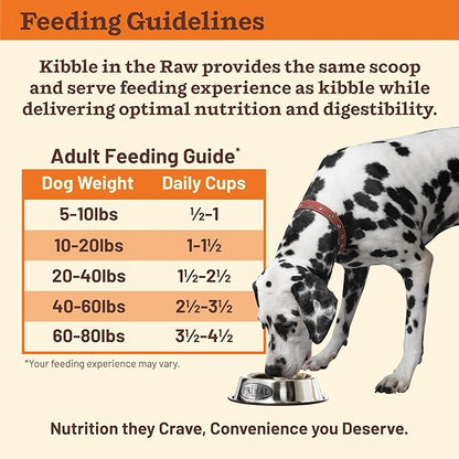 Primal Kibble in The Raw, Freeze Dried Dog Food, Beef, Scoop & Serve, Made with Raw Protein, Whole Ingredient Nutrition, Crafted in The USA, Dry Dog Food 1.5 lb Bag