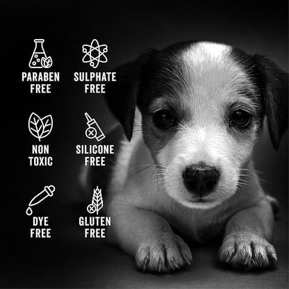 Pride and Groom The Sensitive One | Dog Grooming Shampoo for Puppies and Dogs with Itchy, Dry Skin| Tearless All Natural Body Wash with Essential Oils to Soothe Skin – 16oz (Pack of 2)