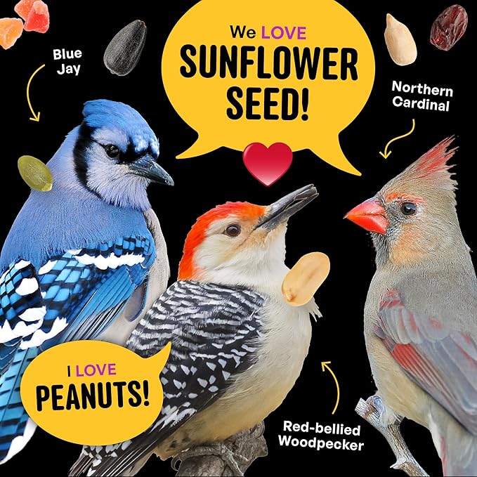 Nut & Fruit Wild Bird Seed  10 lb. Gourmet Bird Food with Sunflower Hearts, Peanuts, Tree Nuts & Real Fruit  No Corn, Milo or Millet Bird Seed for Outside Feeders