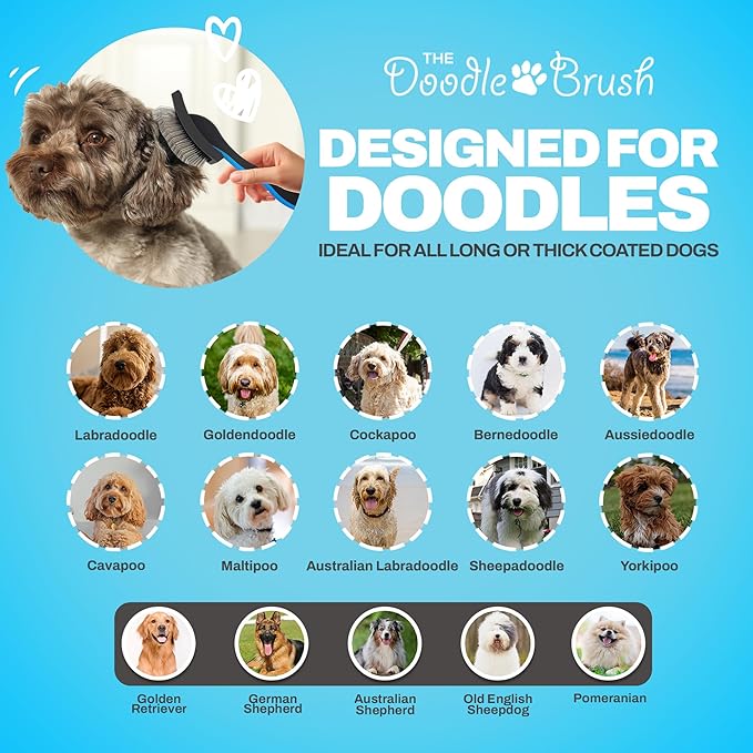 Doodle Brush Slicker Brush for Dogs - Dog Brush for Long Haired Dogs Goldendoodle, Bernedoodle Golden Doodle Brush Dog Brush for Poodles, Cockapoo, Dog Brush for Doodles, Poodle Brush - Extra Long Pin