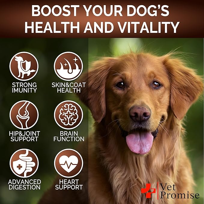 Mushroom for Dogs - 170 Chews - Turkey Tail - Mushroom Supplement for Dogs - Lions Mane - Reishi - Immunity Support Multivitamin Vitamins - Joint Health - Energy - Gut - Skin - Made in USA