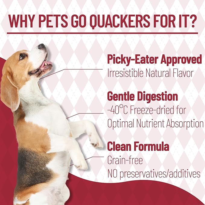 Just Try 8.82 oz Freeze Dried Beef Liver Raw Dog Treats & Cat Treats, Single Ingredient, Health Training Treats or Meal Food Topper, High Protein, Grain Free, Gluten Free, Rich in Iron & Vitamin A