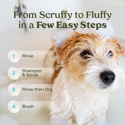 PAWFUME Dog Shampoo and Conditioner, Blue Ribbon, 2-Pack  Nourish & Detangle for a Silky Soft Coat  Probiotic, Deep-Cleaning, pH-Balanced Formula  Puppy Shampoo and Conditioner for All Breeds