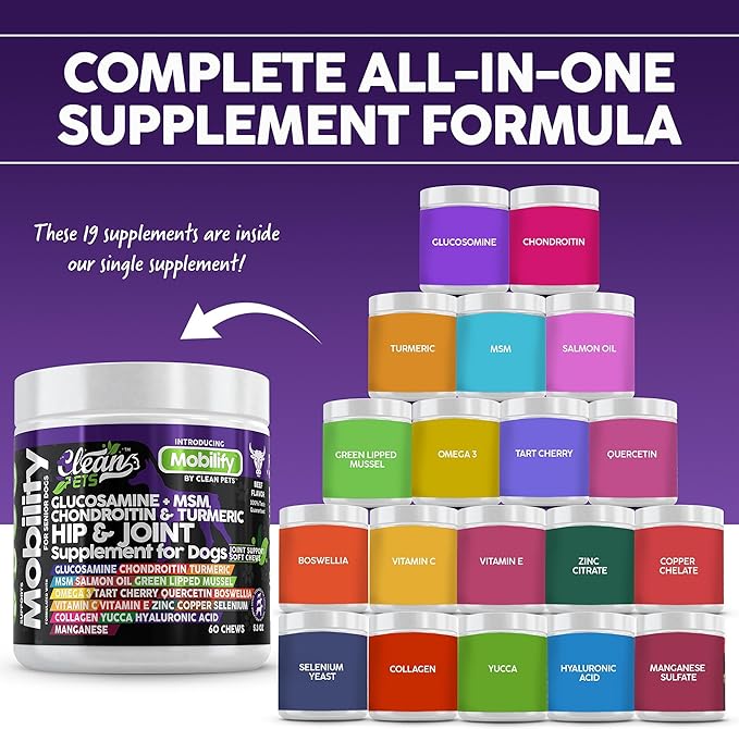 Hip and Joint Supplement Dogs with Glucosamine for Dogs + Chondroitin, Turmeric, Hyaluronic Acid, MSM, Salmon Oil, Collagen, Vitamin C, Omega 3 Senior Dog Supplements Beef Flavor - 1Pack