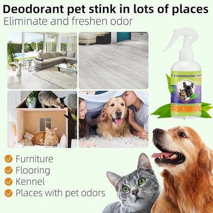 Dog Urine Odor Eliminator Spray for Home, Cat Litter Box Deodorizer, Pet Room Deodorizing Spray for Pee Smells on Carpet or Furniture, Puppy Perfume Spray Long Lasting, 500ml/16.9oz, Green Tea