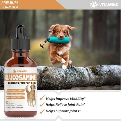 Glucosamine for Dogs | Supports Healthy HIPS, Joints, & More | Glucosamine for Dogs Hip and Joint Supplement | Dog Glucosamine | Dog Joint Supplement | Glucosamine Chondroitin for Dogs | 1 fl oz