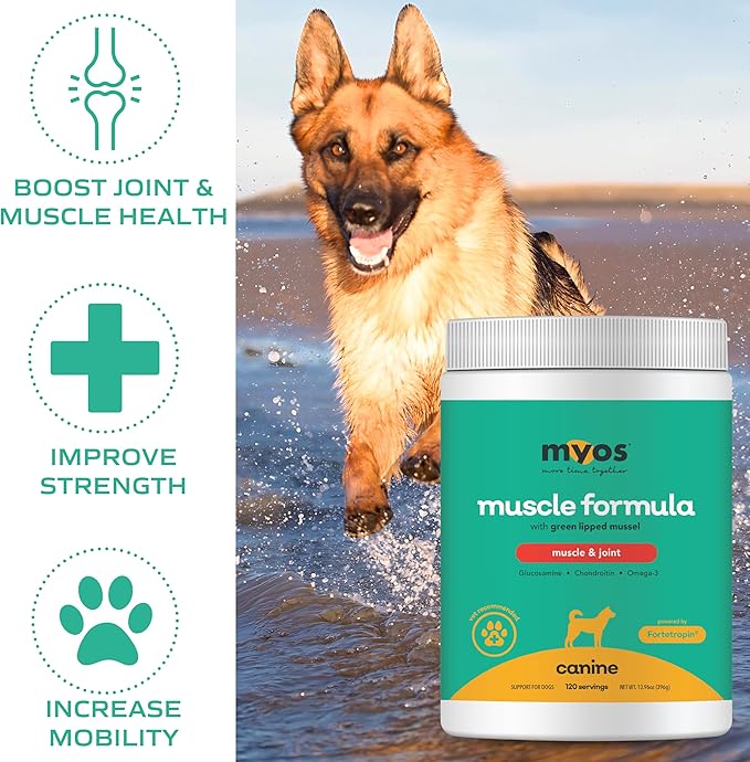 MYOS Muscle & Joint Powered by Fortetropin with Green Lipped Mussel (396 gr)