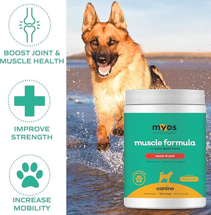 MYOS Muscle & Joint Powered by Fortetropin with Green Lipped Mussel (396 gr)
