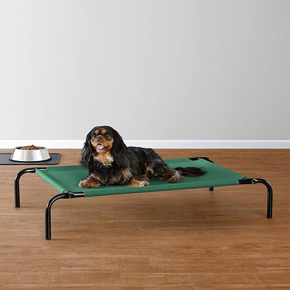 Amazon Basics Cooling Elevated Pet Bed, Small (36 x 22 x 7.5 Inches), Green