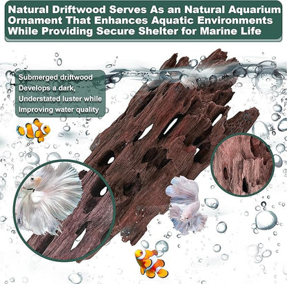 Natural Wood Driftwood for Aquarium Fish Tank Decor,Assorted Natural Tree Hole Wood for Reptile Decor (SHP-XM Driftwood (SHP-XM Driftwood L(12 to15 Inch)-Pack of 1)