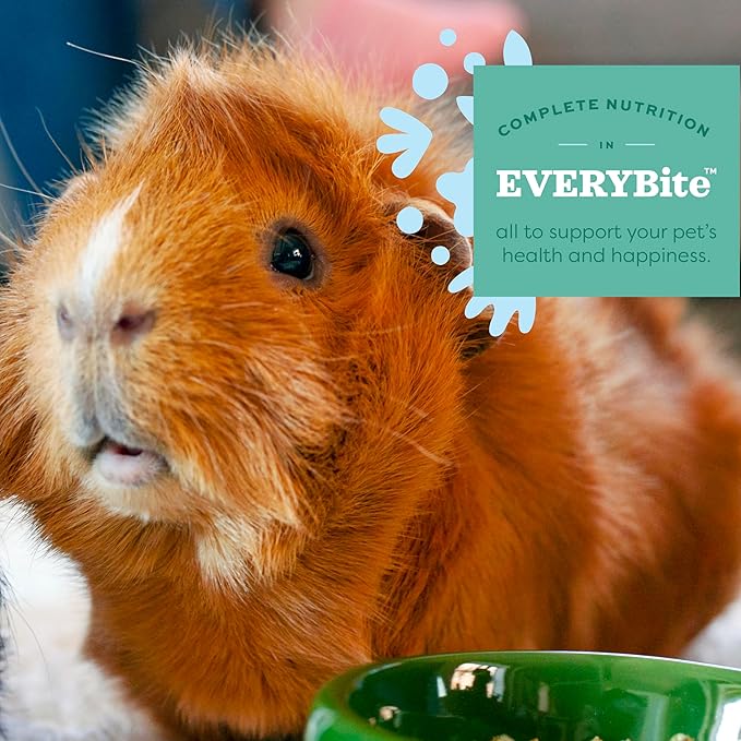 Oxbow Essentials Guinea Pig Food, Young, Made Alfalfa Hay for Guinea Pig, Pet Food Pellets with Vitamin C, Small Animal Pet Products, Made in USA, High Fiber, 10 lb. Bag