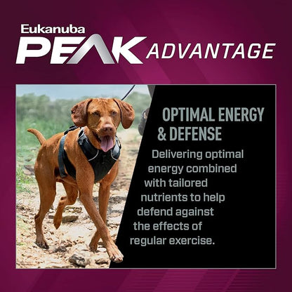 EUKANUBA Premium Performance 26/16 Exercise Dry Dog Food, 40 lb