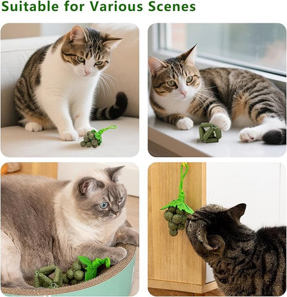 Cat Catnip Toys,2Pcs Catnip Ball for Cats,Toys for Indoor Cats,Cat Chew Exercise Toy for All Breeds and Species,Enhances Oral and Dental Health